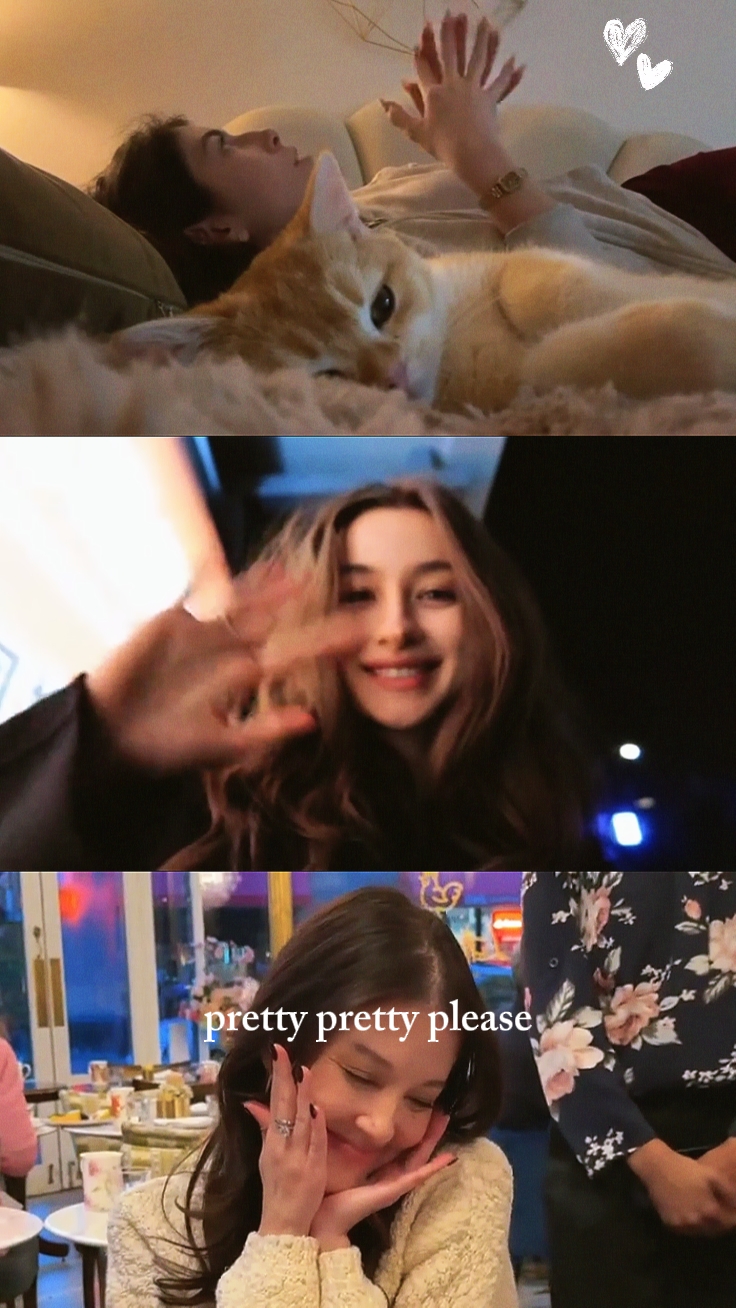 pretty please 