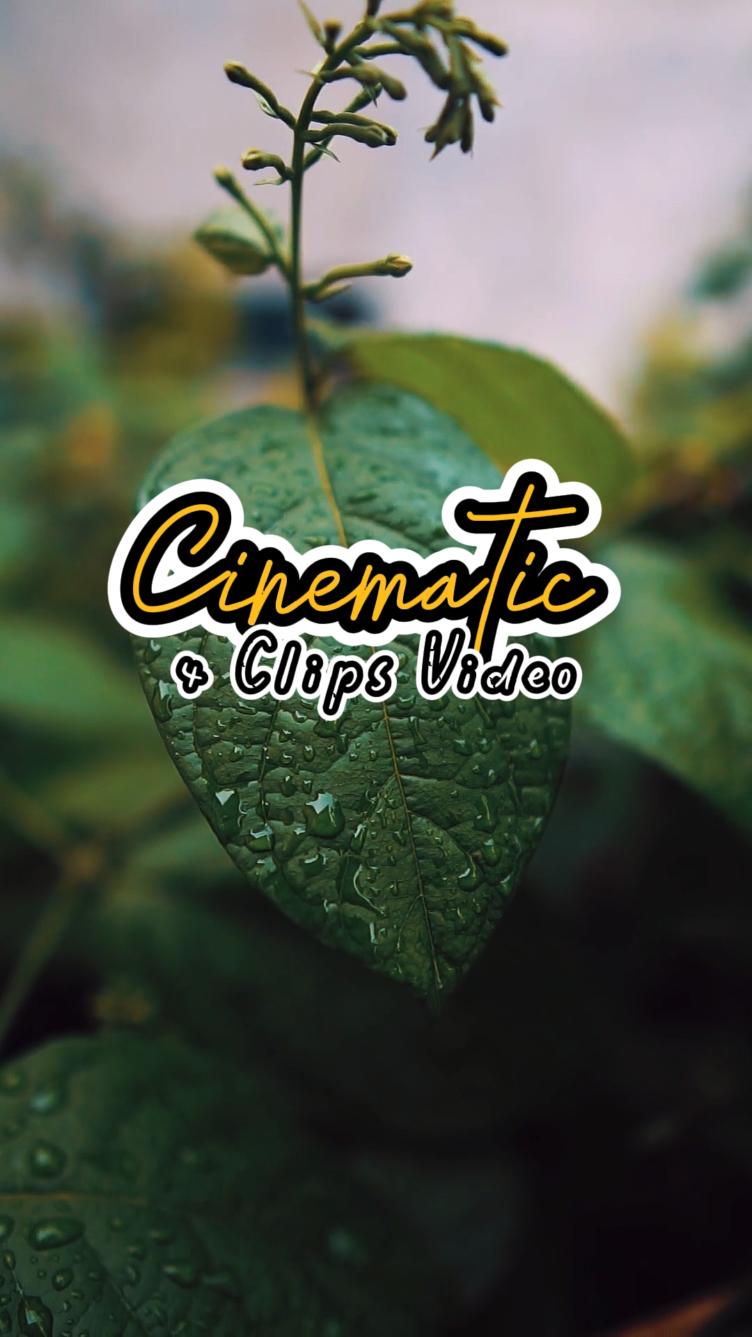 Cinematic 4 Video