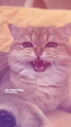 Lyrics Template 🌟