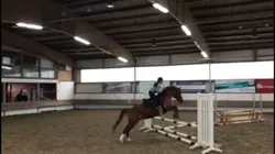 Pony ruft an
