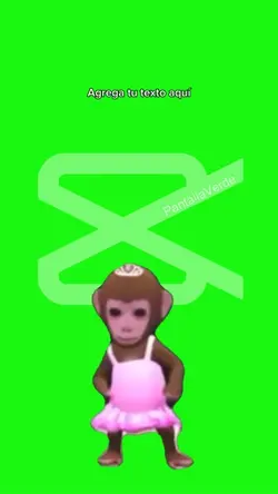 Dance monkey
