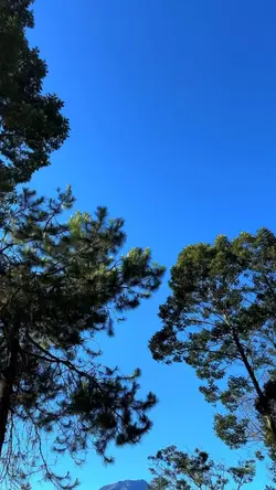 1 video aesthetic