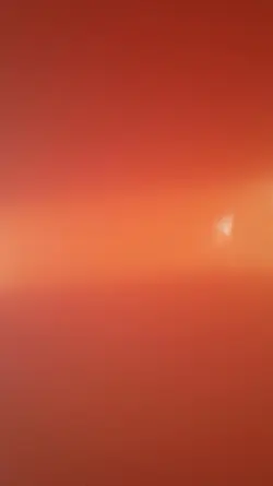 팡팡고