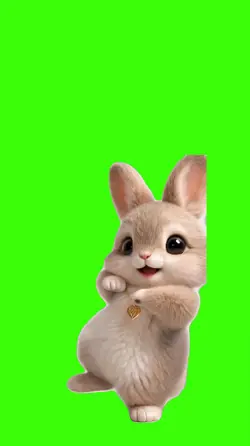 Rabbit/Coelho.