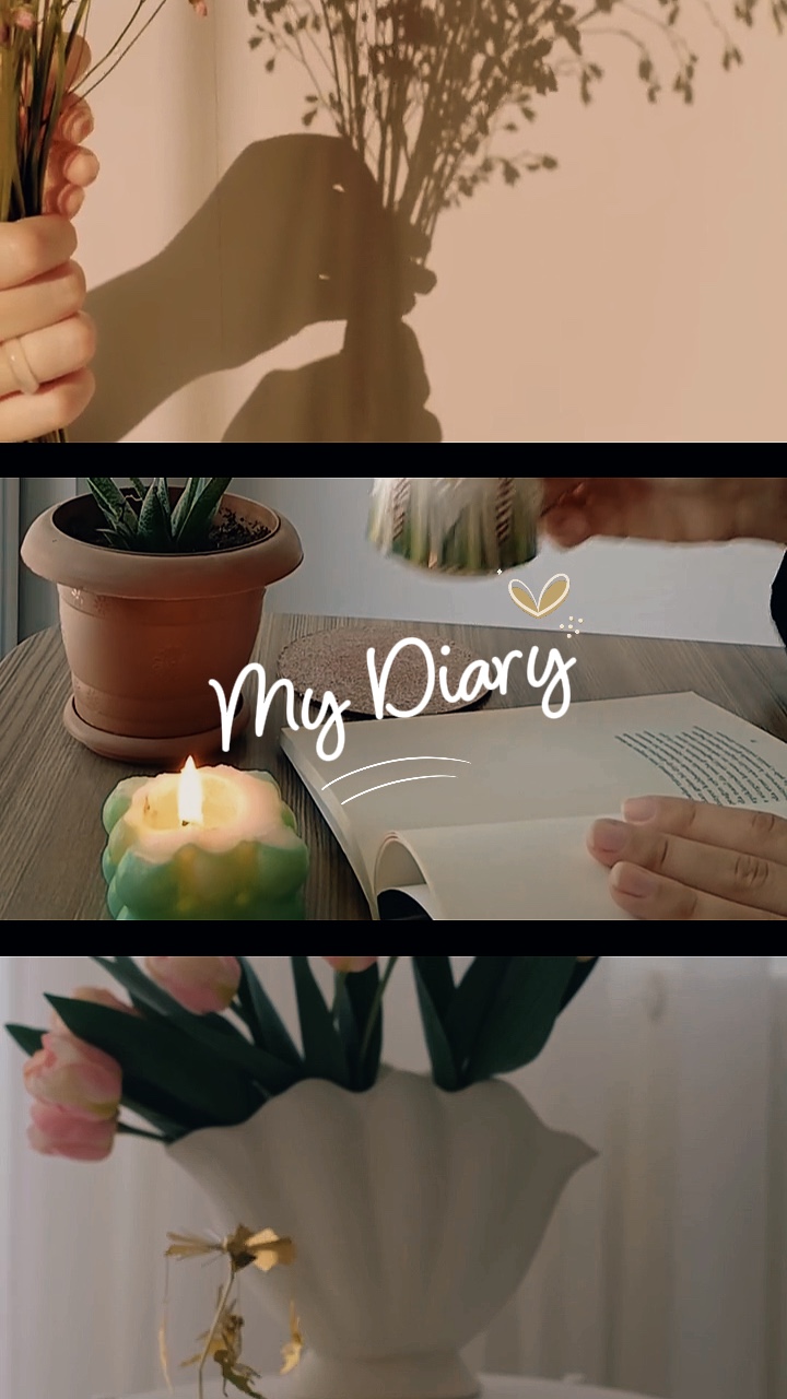 vlog buku harian saya