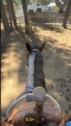 No hand stop😍😍