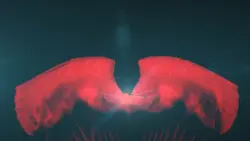 red smoke
