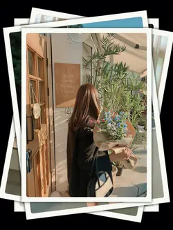 12 Photos Transition