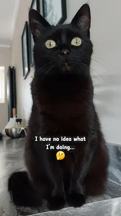 I have no idea..