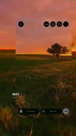 aesthetic