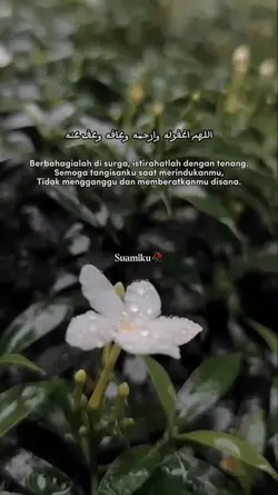 suami surgaku 
