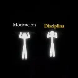 disciplina