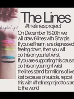 The lines project