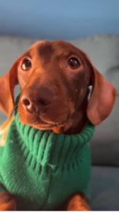 Jingle Bells 