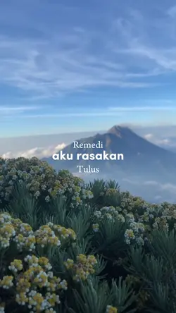 Remedi,Tulus