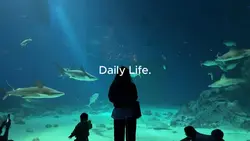 daily life