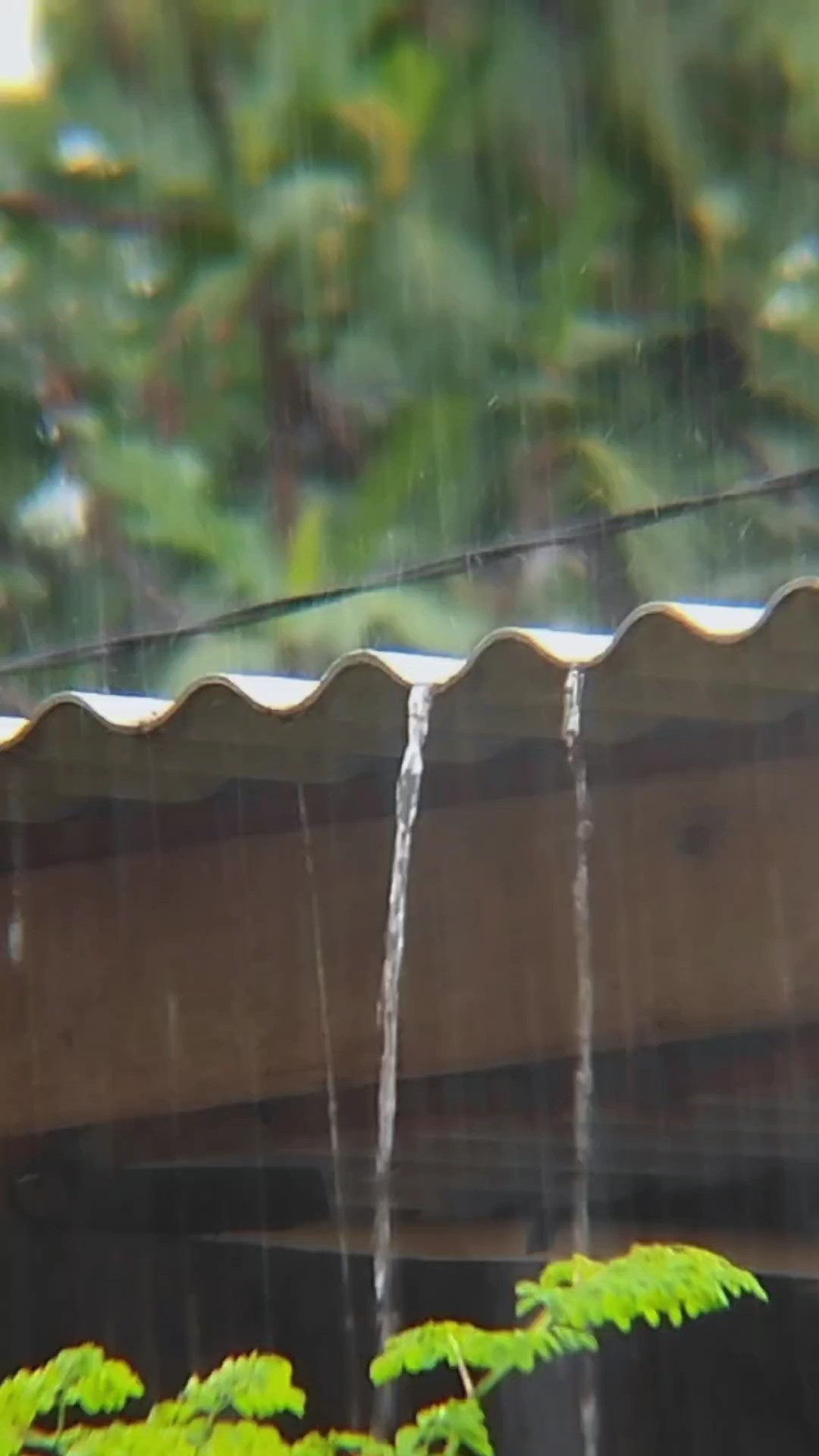 rain vibes 