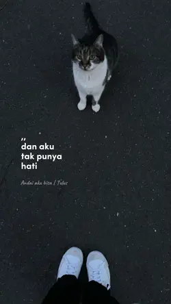 andai aku bisa|tulus