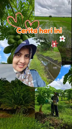 cerita hari ini
