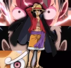 One Piece Meow Meow