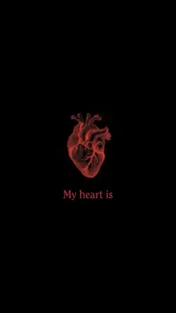 my heart is ...