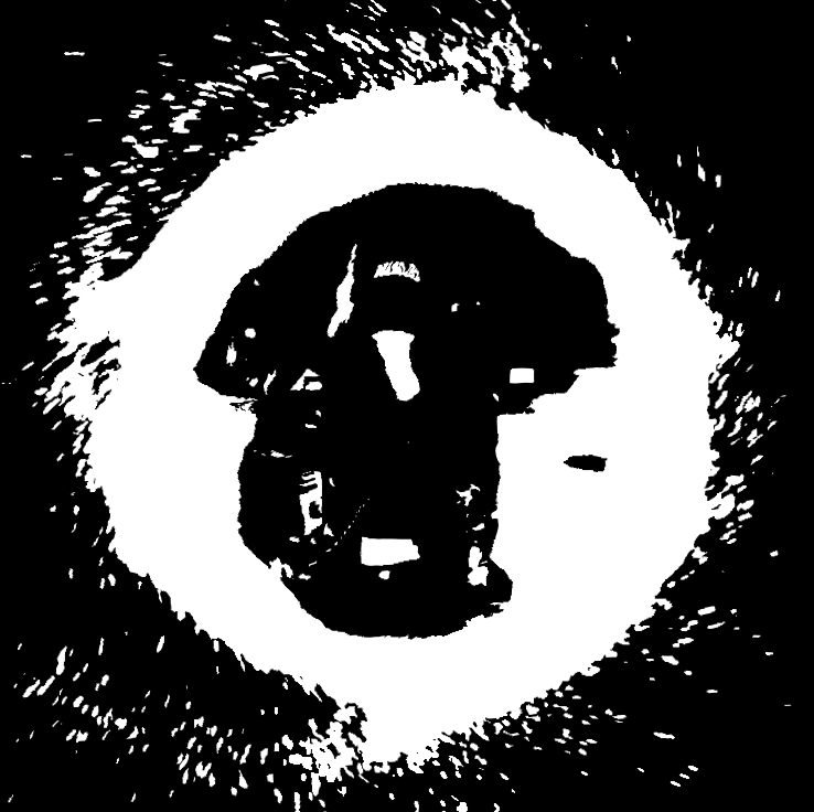 Cover Picture