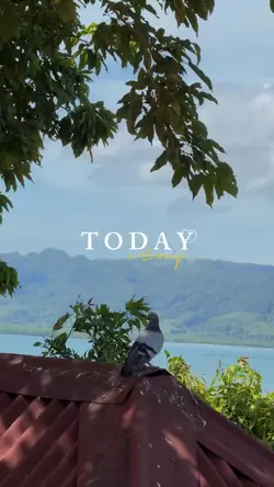 Today’s Story.🏡