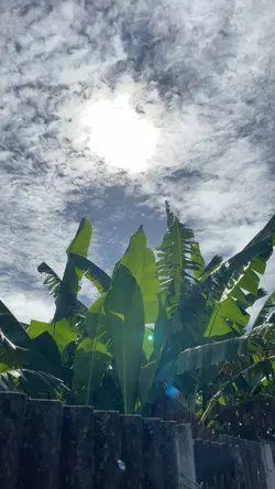 California love 2pac