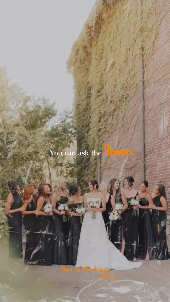 Little baby wedding