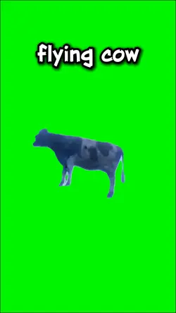 FLYING COW