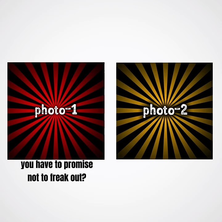 new funny template
