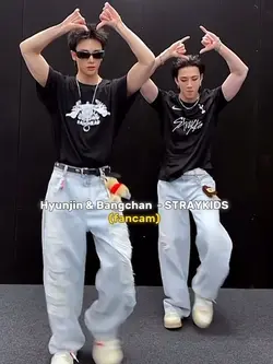 FANCAM