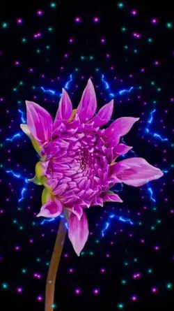 Hiệu ứng hoa nở 