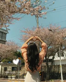 aesthetic photo