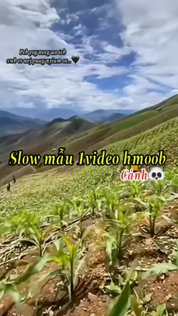 Slow mẫu 1video hmob