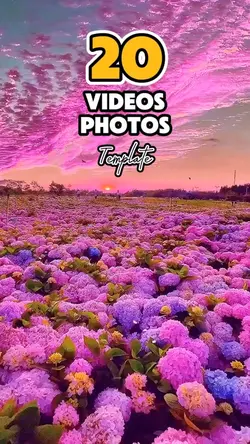 20 videos or photos