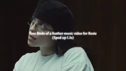 Birds of a feathe MV