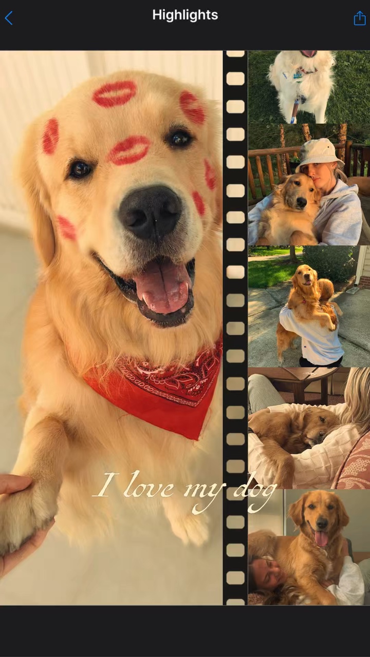 I love my dog