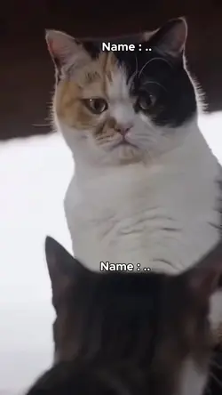 Treein Edit nee Goat