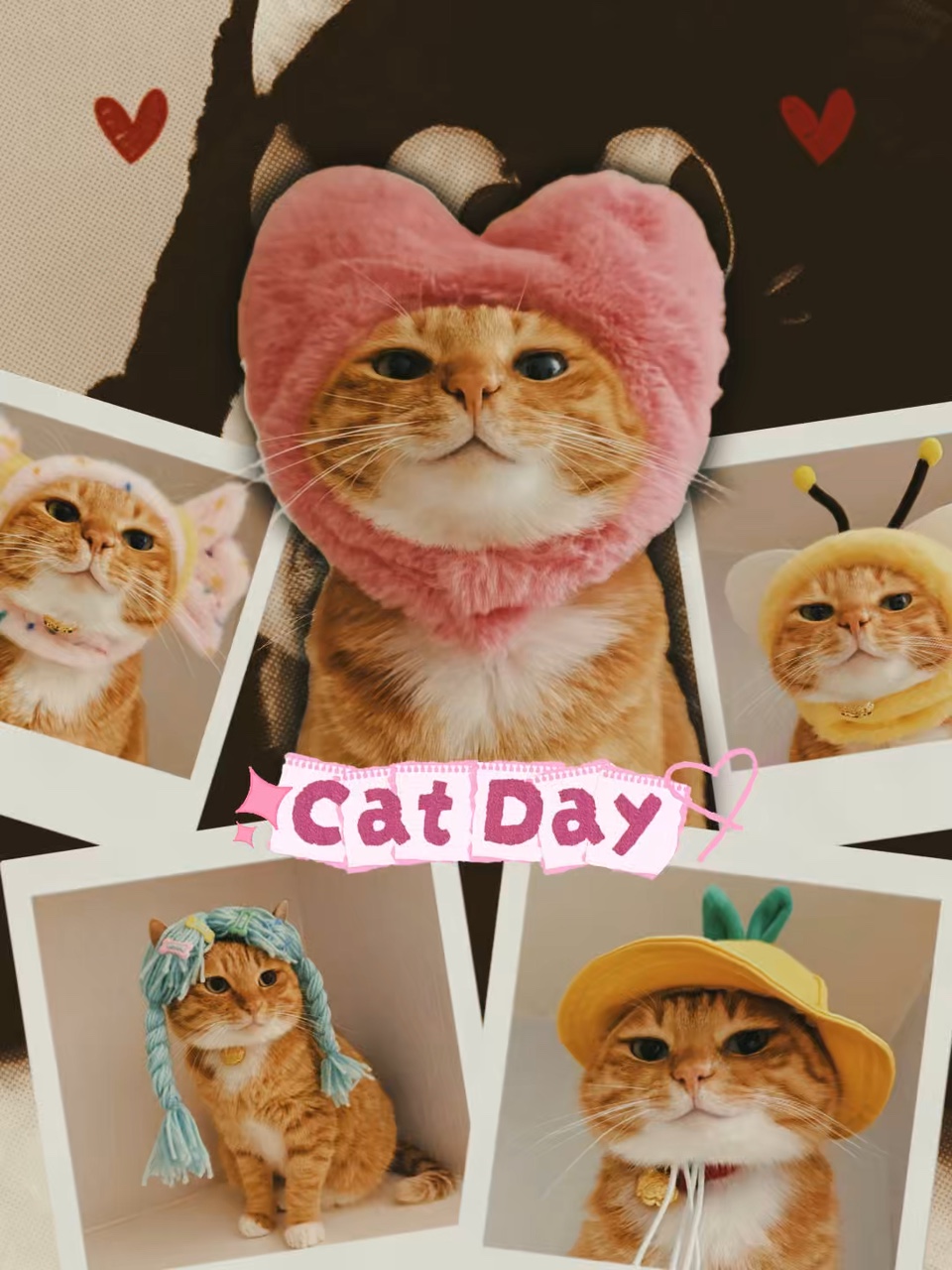 Día Nacional del Gato 🐾🐱