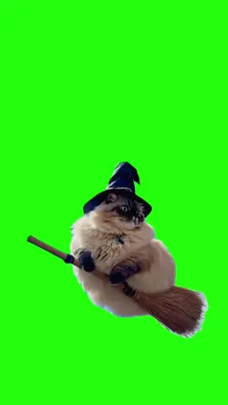 Cat Flying On Broom