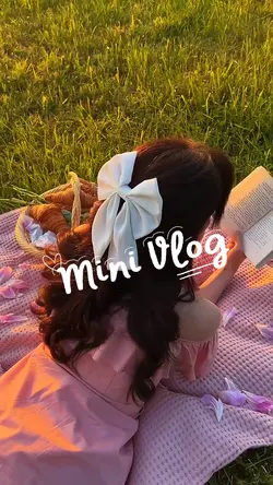 Mini Vlog