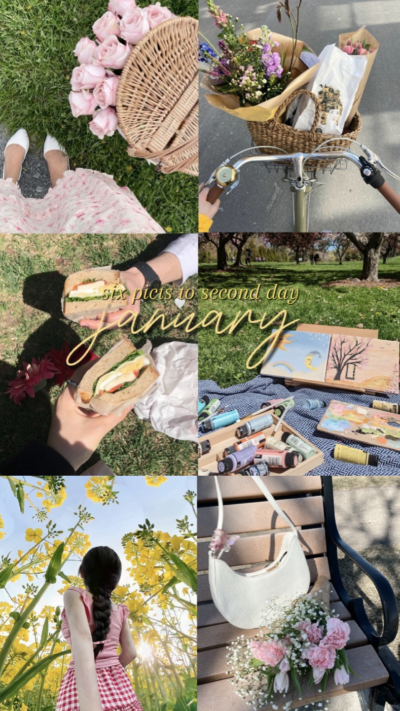 6 pics of january