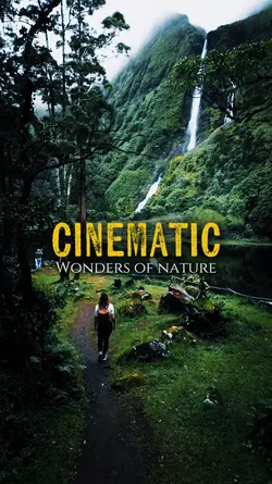 Wonders of nature