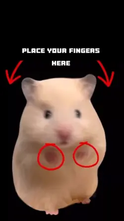 funny hamster meme