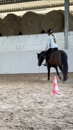 Cheval