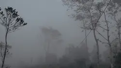 Snowfall 