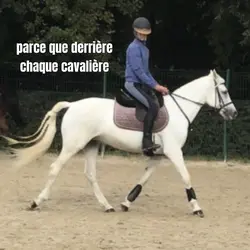 Ce poney >> 🥹❤️🫶🏻