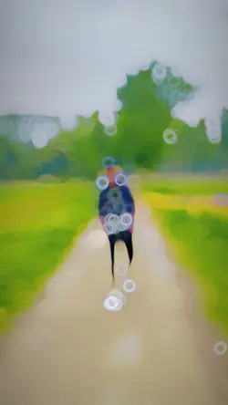 Slowmotion Trend