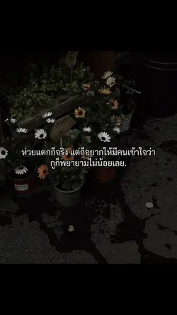 ห่วยแตกก็จริง